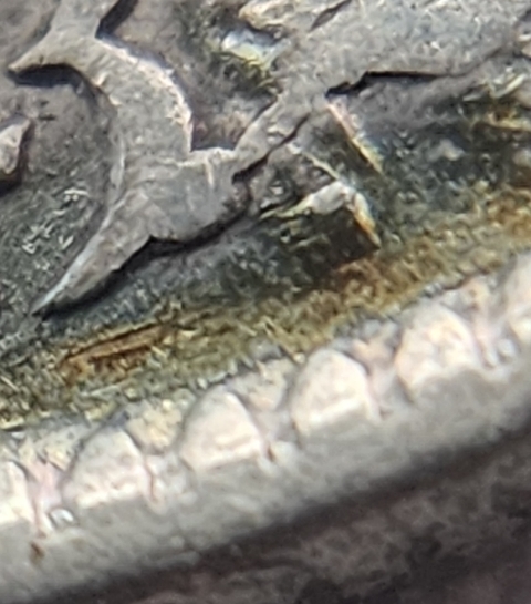 1943-50-Cents-Die-Crack/Chip-Or-PMD